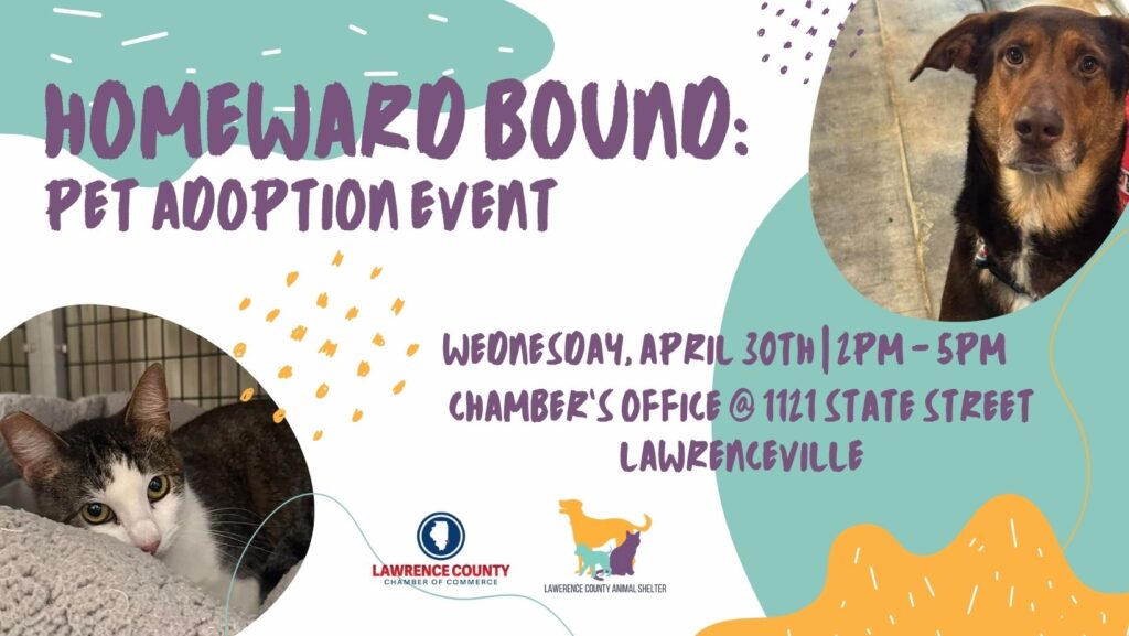Homeward Bound Pet Adoption Event, Lawrenceville Illinois